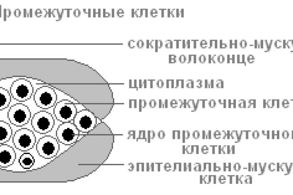 Как зайти на гидру через тор браузер