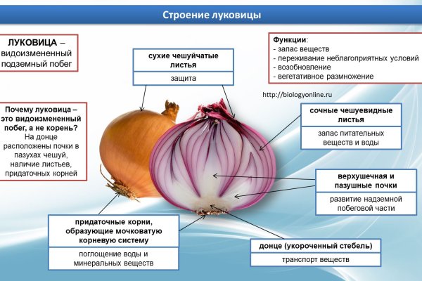 Как пополнить кошелек на кракене